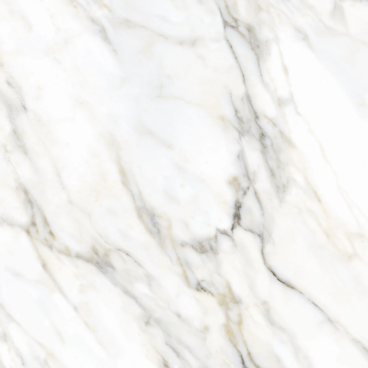 Porcelanato Acetinado Calacata Oro 120x120 Delta Nova - 2804 - 120x120 - Delta Nova — foto 10