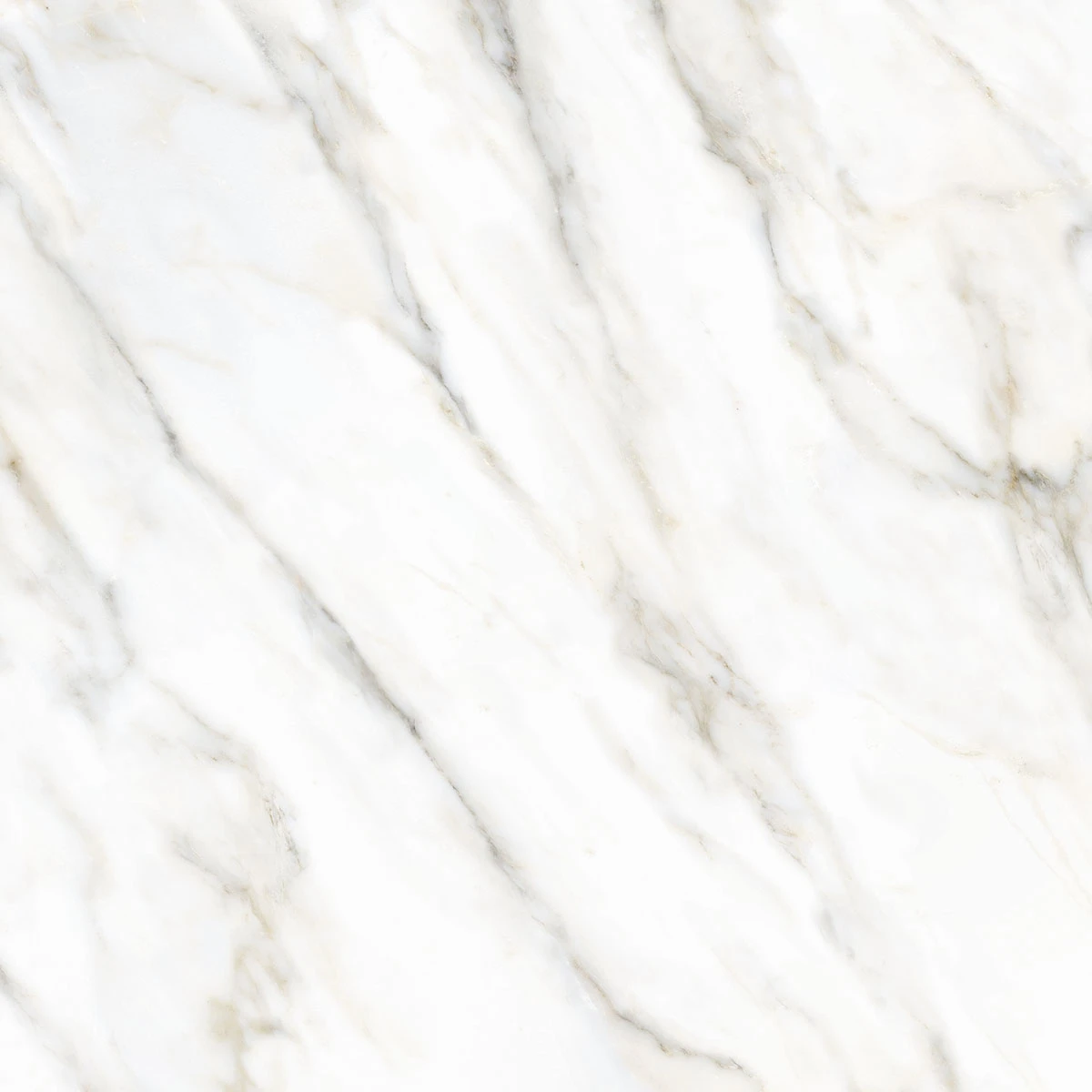 Porcelanato Acetinado Calacata Oro 120x120 Delta Nova - 2804 - 120x120 - Delta Nova — foto 2