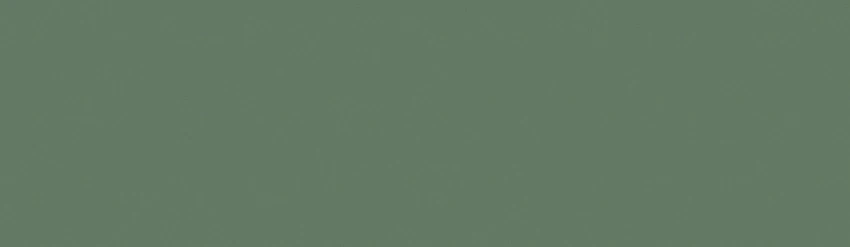 Color Oliva - 7,5x26 - Aylla