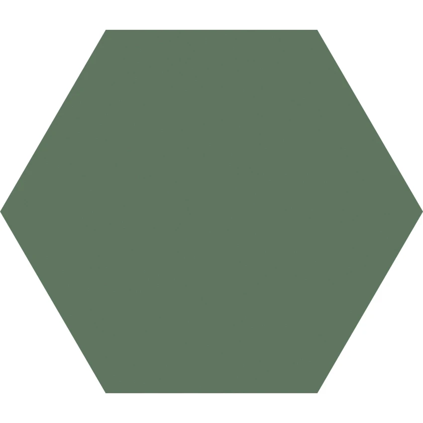 Six Oliva - 19x22 - Aylla