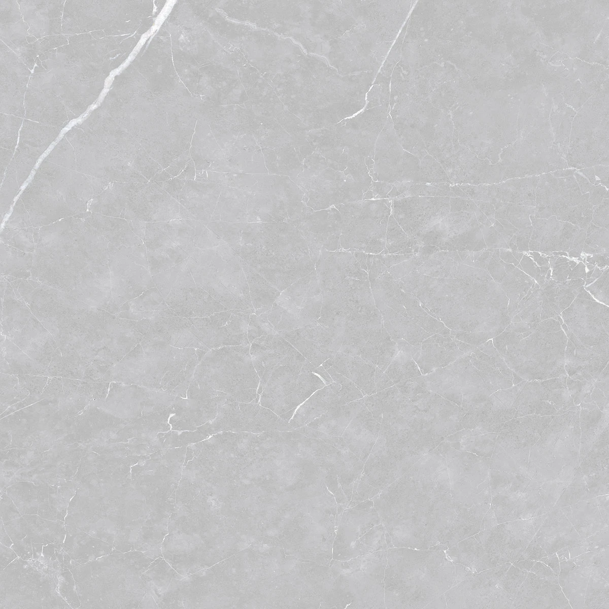 Porcelanato Polido Venato Argenta 90x90 Delta Nova - 2925 - 90x90 - Delta Nova — foto 2